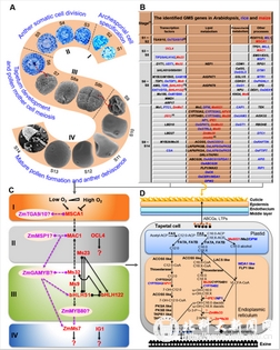 b4b6096fa87fc0cef4ce9ad74bd7f3b7.jpg 3.jpg