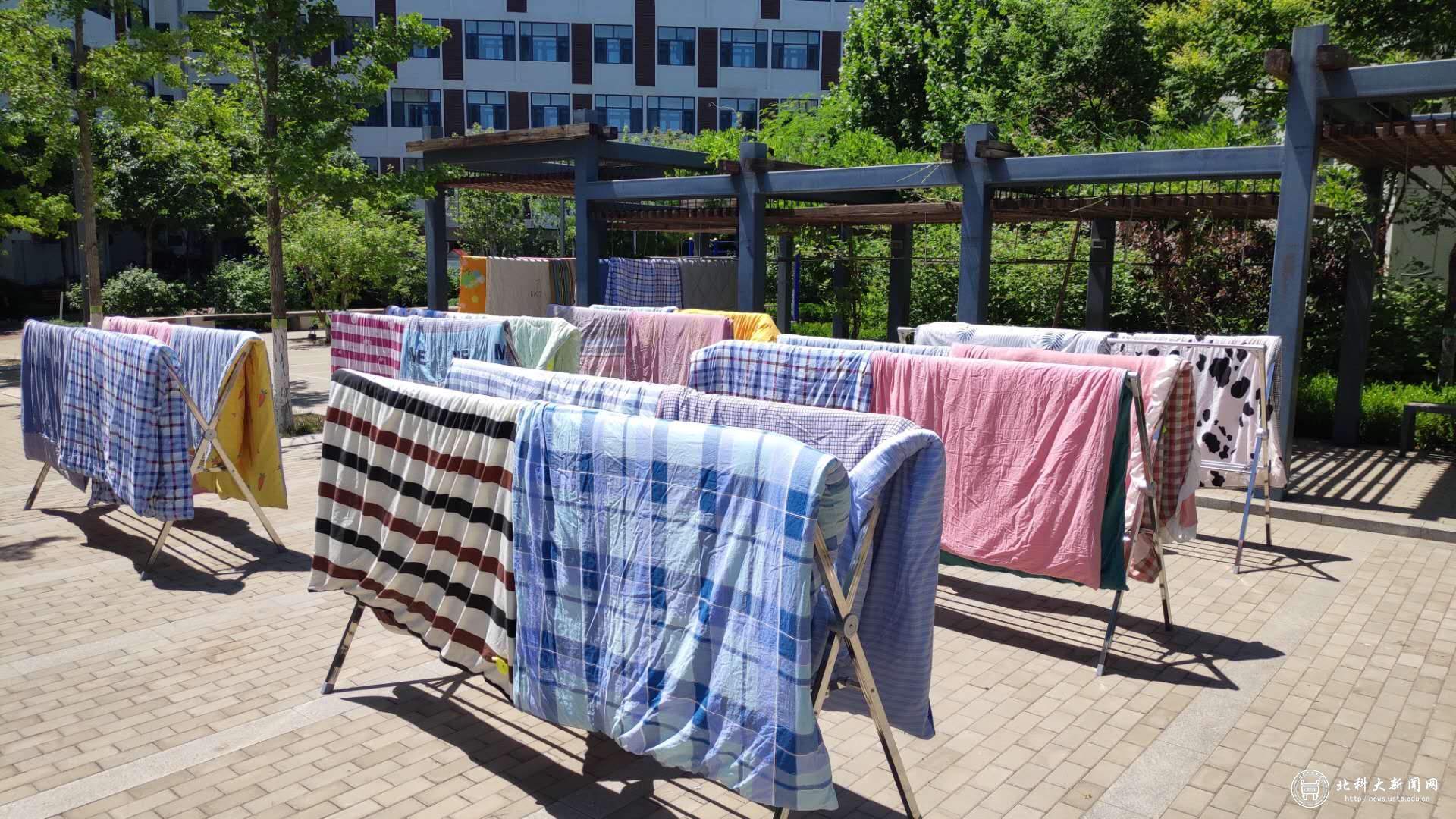 比阳光更温暖——初夏晒被.jpg 比阳光更温暖——初夏晒被.jpg