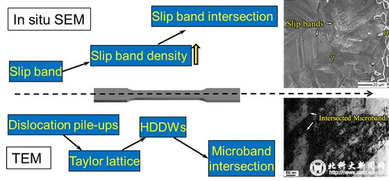 edited Graphical abstract (1)_副本.jpg